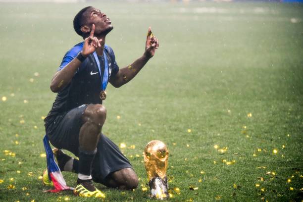 展现自己的 展现自己的