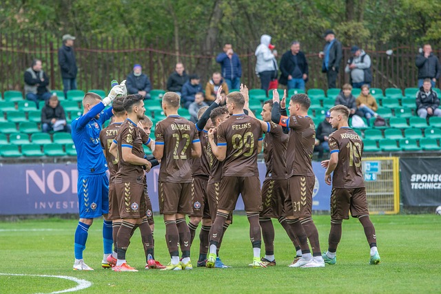 它的神秘面 它的神秘面